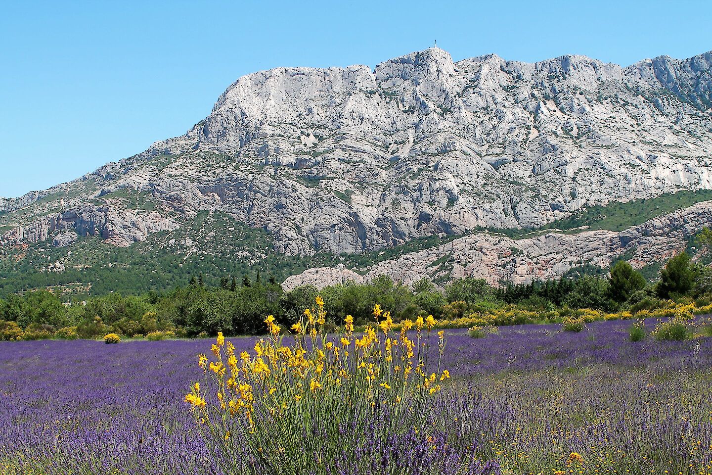 Cours de 50H à Aix-en-Provence, France en octobre 2023 (module beta)