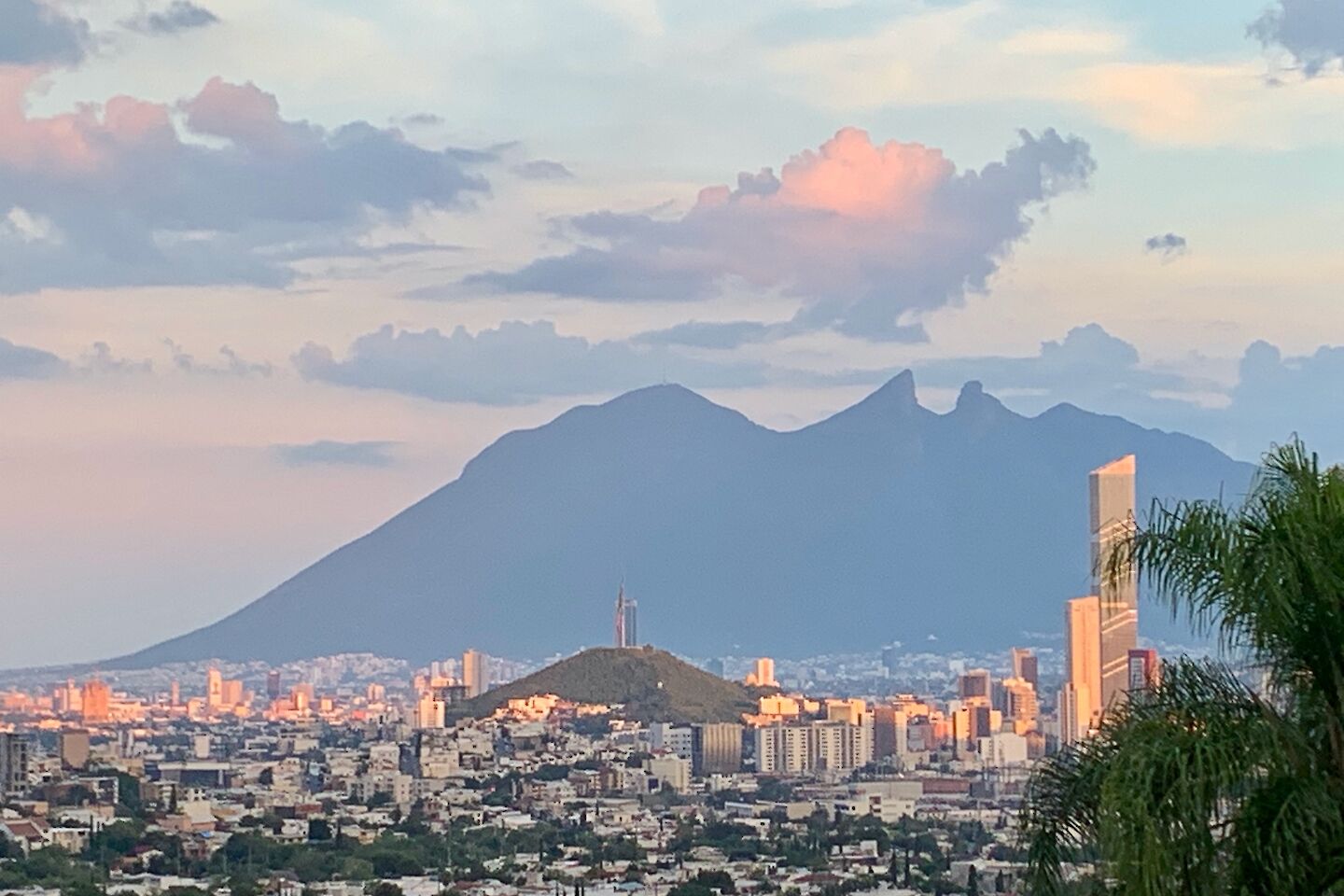 50H course in Monterey, Mexico, March–June 2024 (alpha module)